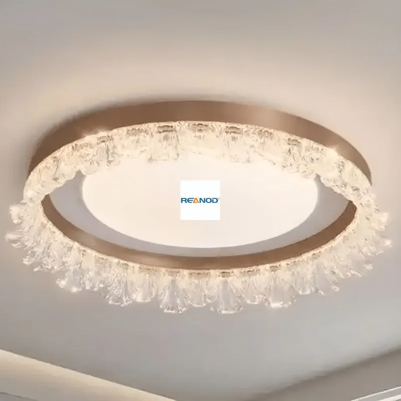 Pet traction rope Pet traction rope