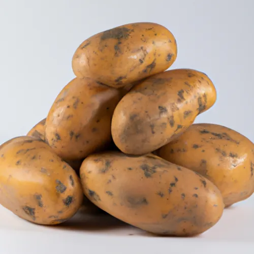 In addition to its project management capabilities, Potato01 also offers robust security features to protect sensitive project data. With encryption protocols and secure user authentication, teams can trust that their information is safe and secure while using the platform. By prioritizing data protection, Potato01 ensures that teams can focus on their projects with peace of mind, knowing that their information is safeguarded at all times.