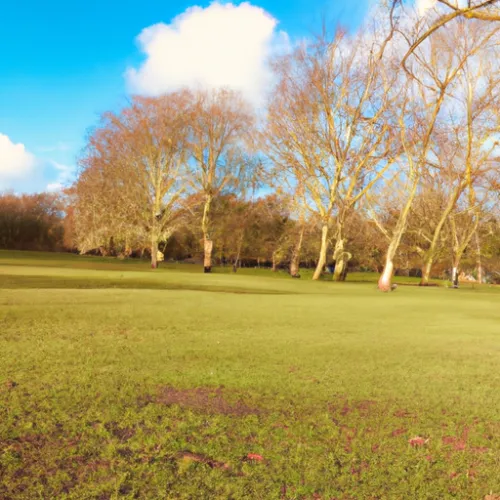 In the automotive industry, test005 is being used to optimize vehicle performance and enhance safety measures. By collecting and analyzing data from sensors and on-board systems, test005 can predict potential malfunctions and prevent accidents. This proactive approach to maintenance and safety can significantly reduce the risk of costly repairs and improve driver safety.