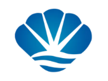 xinwen标题