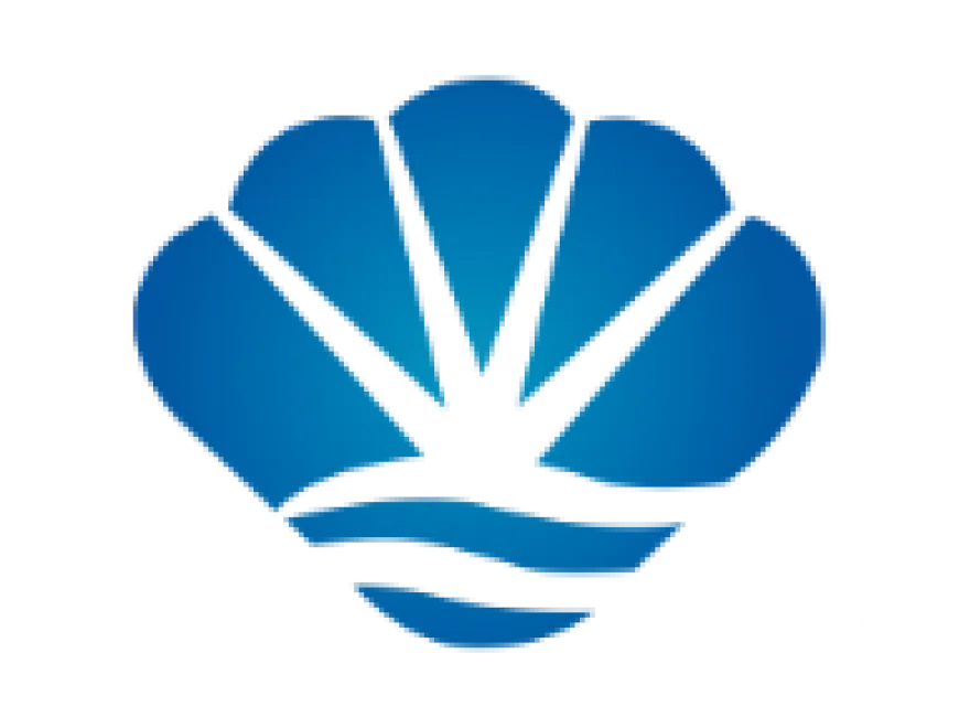 xinwen标题