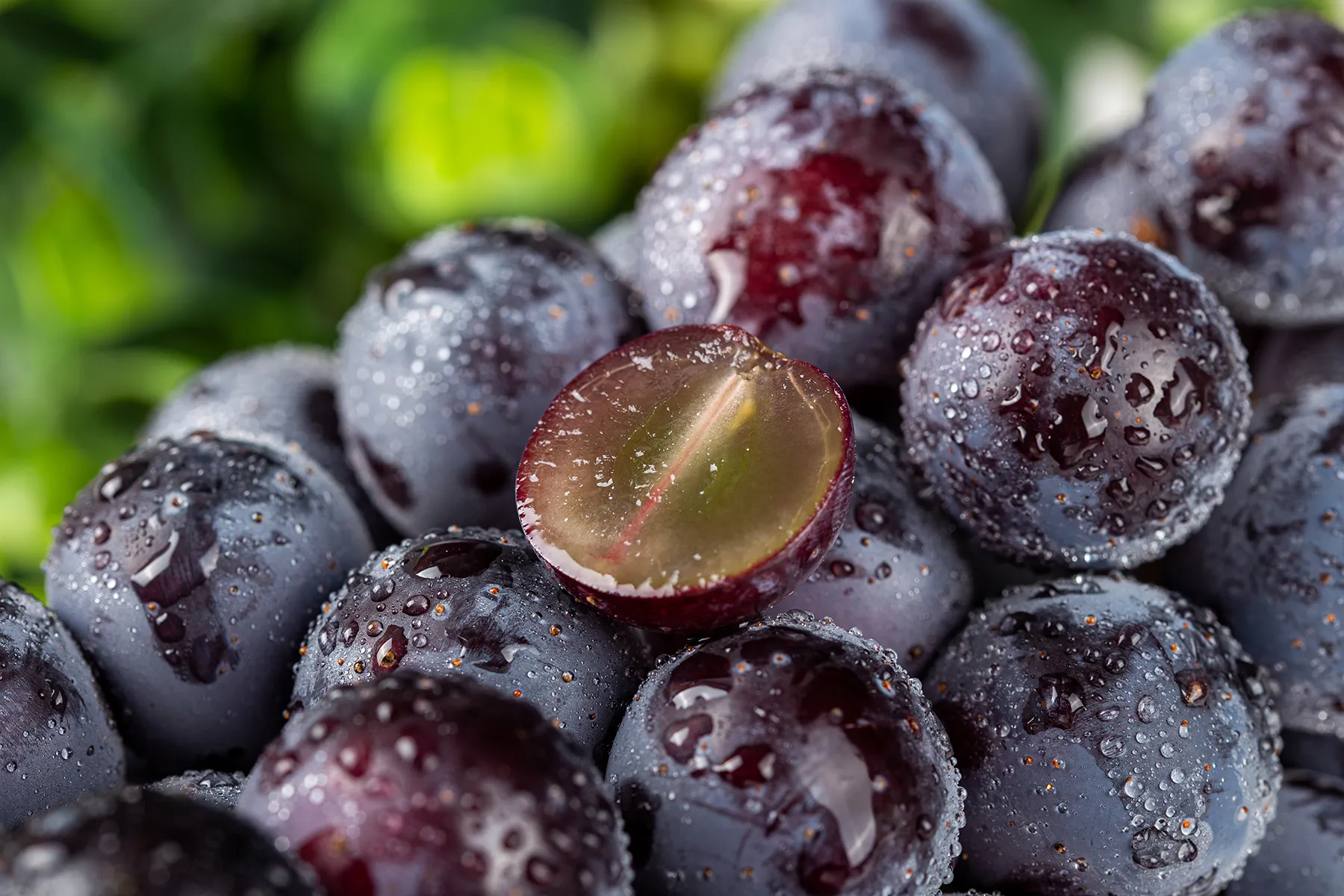 Petroleum Applications