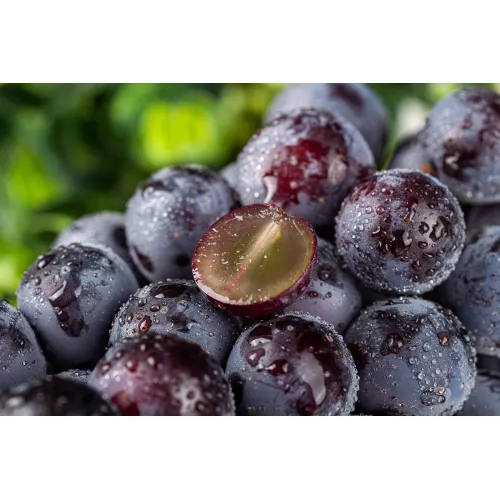 Batch add images to speed things up0