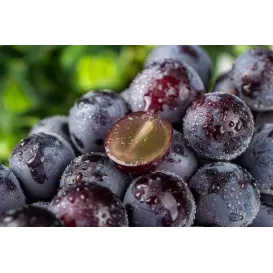鹅鹅鹅鹅鹅