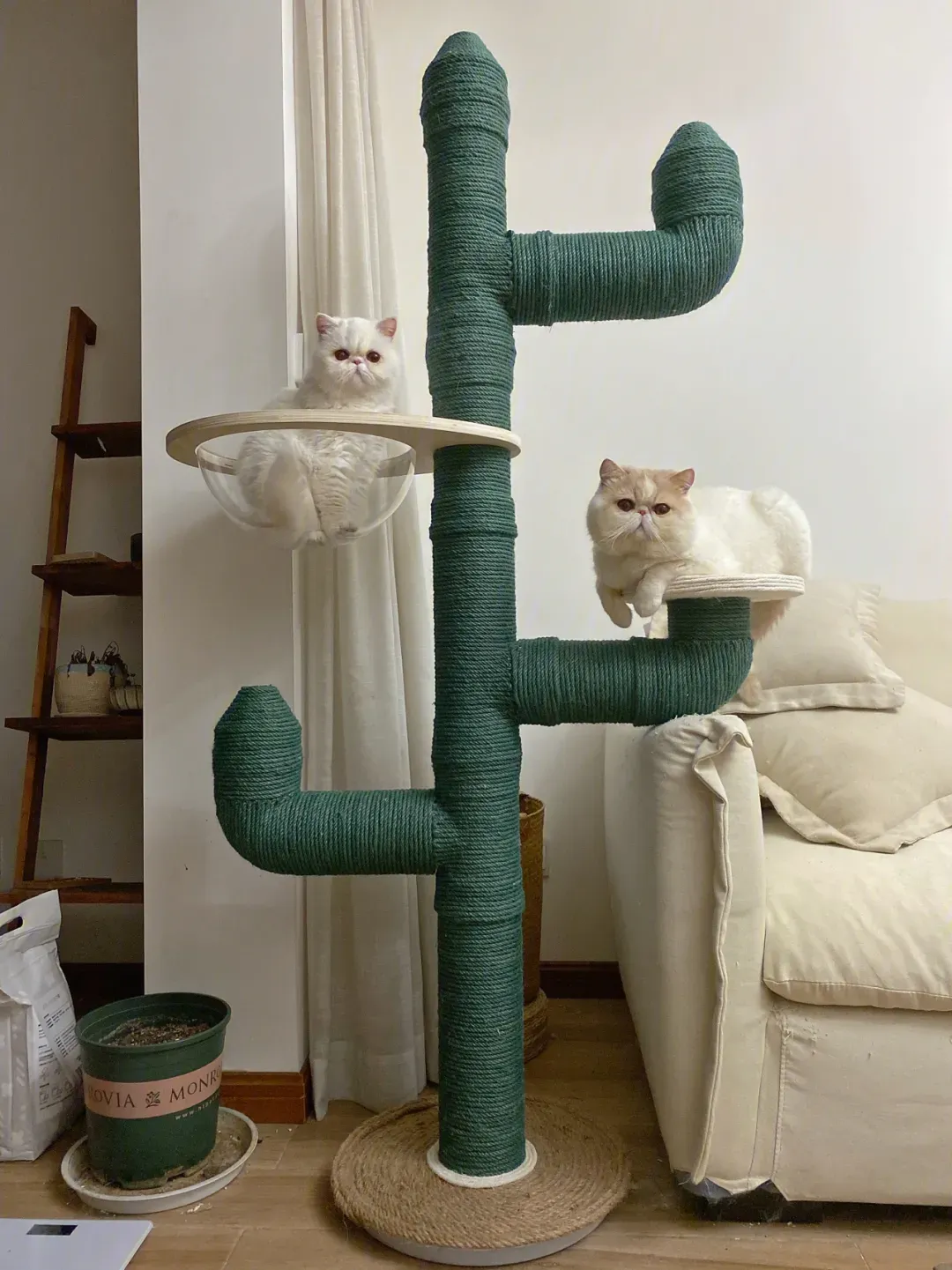猫玩具