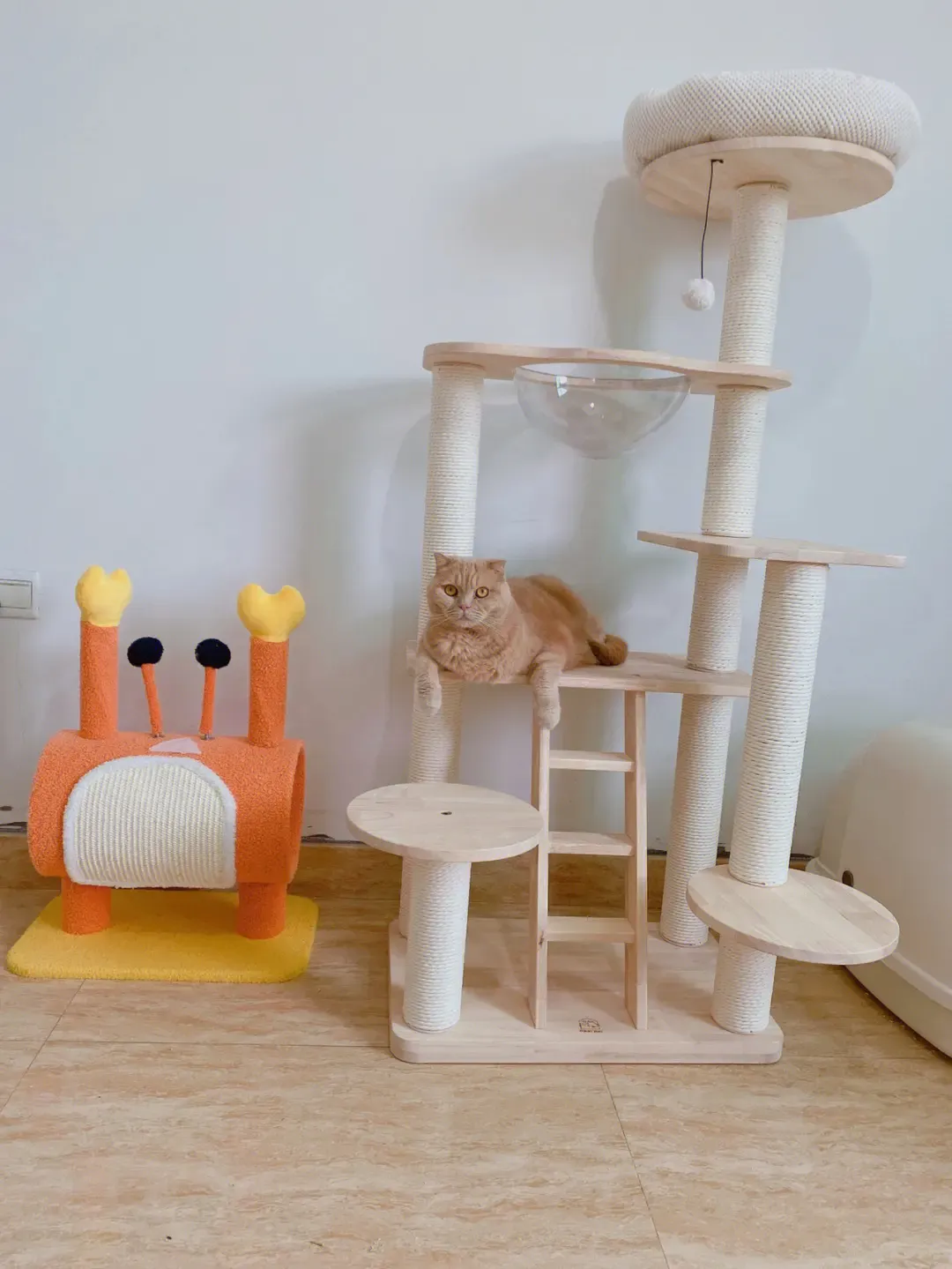 猫玩具
