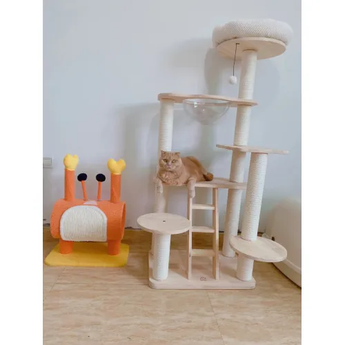 猫玩具