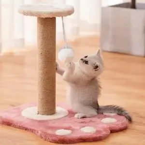 猫玩具