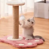 猫玩具