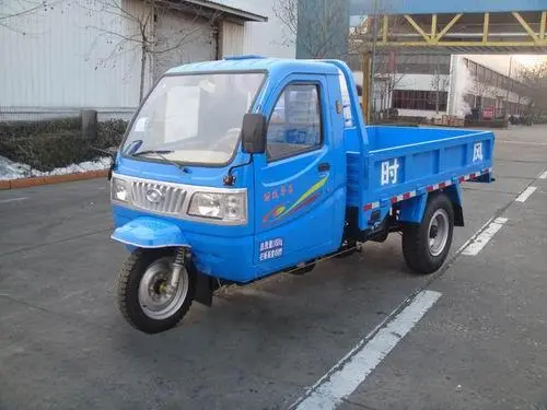 Boy Children tricycle06