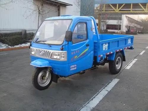 Boy Children tricycle06