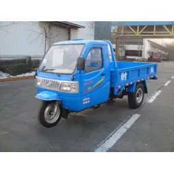 Boy Children tricycle06