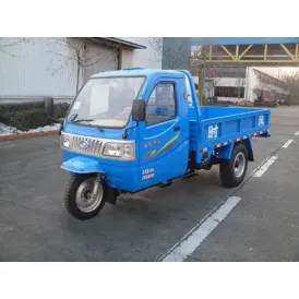 Boy Children tricycle06