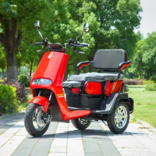 Boy Children tricycle