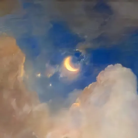 Boy Children tricycle06