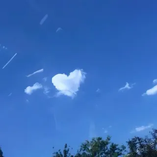 test 千千 With her love, I feel like a fish swimming happily in a beautiful sea.