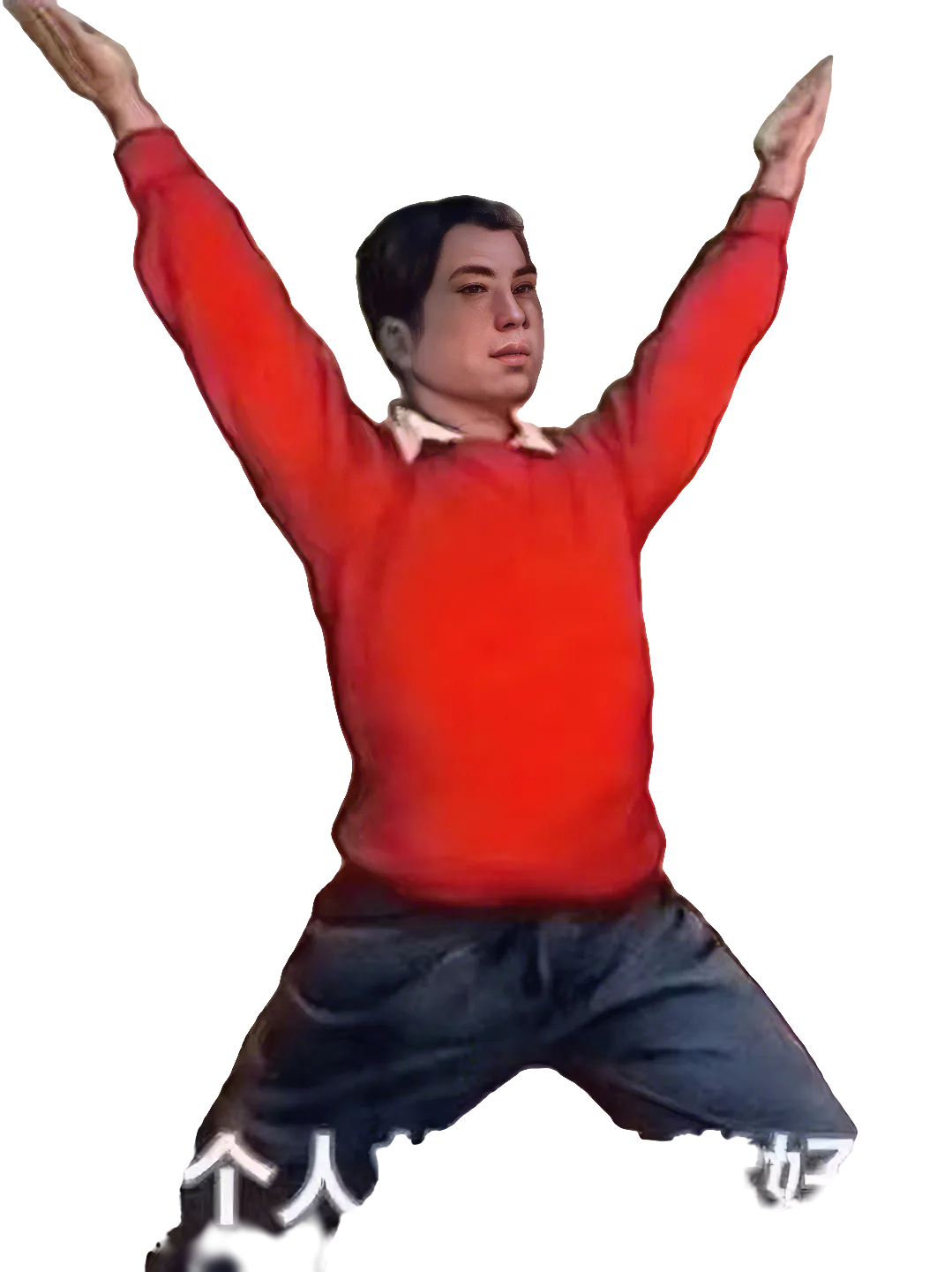 Professional fitness