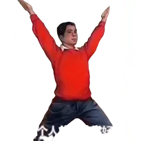 Professional fitness
