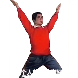 Professional fitness