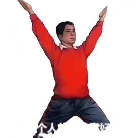 Professional fitness