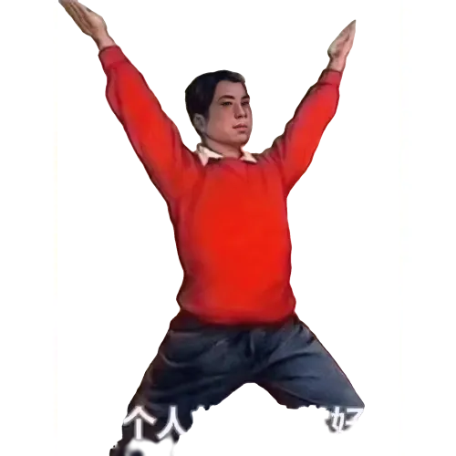 Professional fitness
