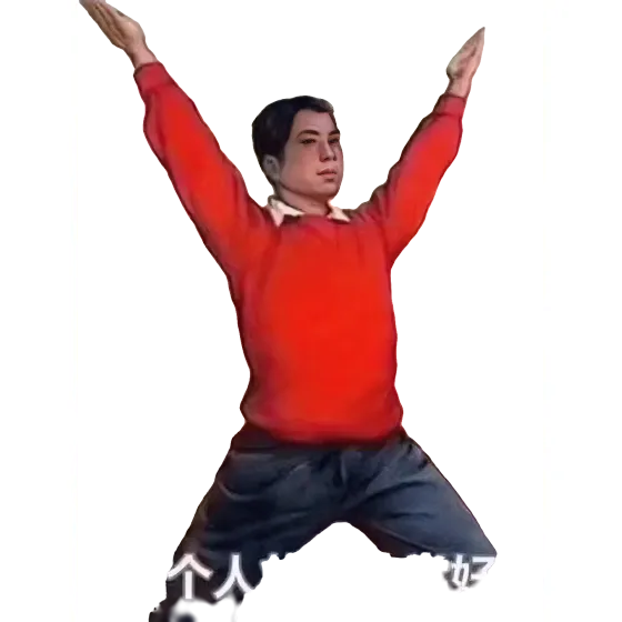 Professional fitness