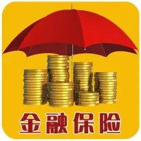 Finance and Insurance Industry