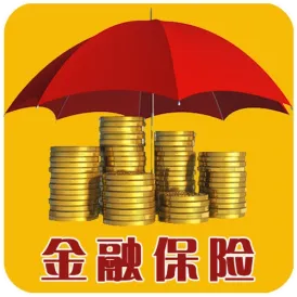 Finance and Insurance Industry