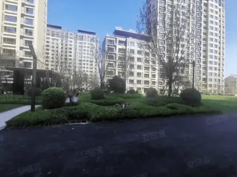 沧州甜橙成员