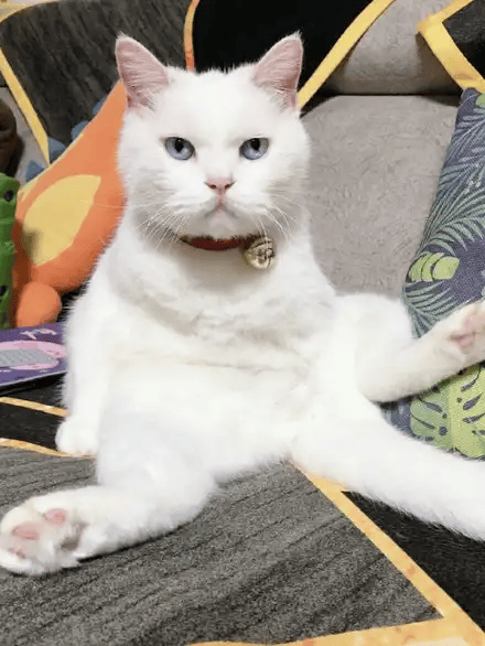 孙杨夺银：跟年轻的孩子共同成长