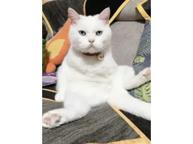 孙杨夺银：跟年轻的孩子共同成长