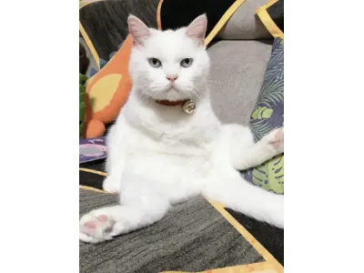 孙杨夺银：跟年轻的孩子共同成长