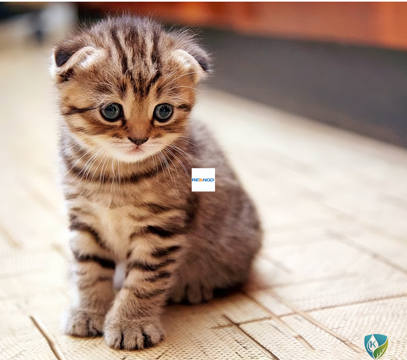 Boy Children tricycle06